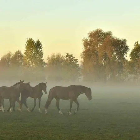 Drei Haselnuesse 펜션 *