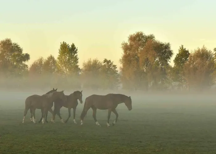 Drei Haselnüsse Ferienhaus *